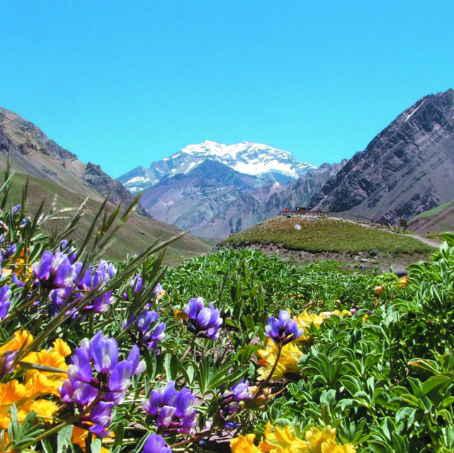 Aconcagua